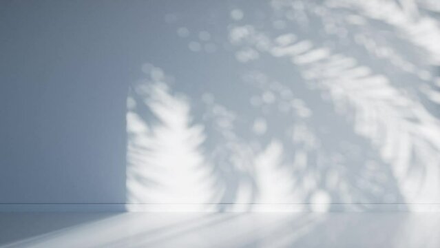 3D animation - Shadow of palm leaves moving in the wind in a loop on an empty light blue room wall at sunset