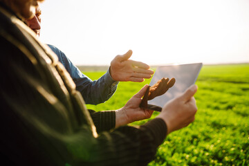 Farmers holding a tablet and checking the progress of the harvest at the green wheat field. Workers...