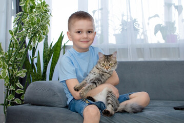 Cozy scene. A child and cat are resting on sofa. Love for animals. Little boy cuddles cute pet in...
