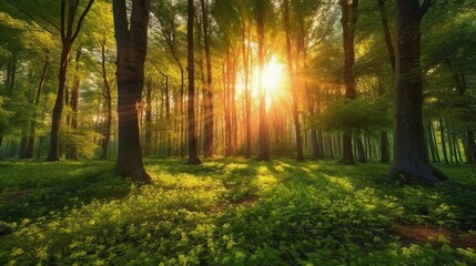 Beautiful sunrise in green forest Ai Generative