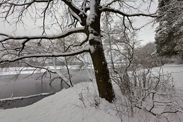 Fototapeta na wymiar trees in snow near a frozen river