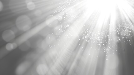 Sunbeams with glittering particles in the air.