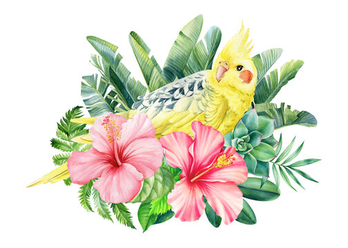 recommend clip art: Tropical yellow Bird, hibiscus flowers, leaves watercolor drawing illustration. Exotic wildlife design. Floral clipart