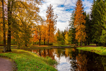 Catherine park in autumn foliage, Pushkin (Tsarskoe Selo), St. Petersburg, Russia