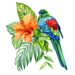 Fototapeta premium Tropical Bird, flowers, leaves and green plants watercolor drawing illustration. Exotic wildlife design. Rosella parrot