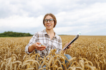 Naklejka na ściany i meble Woman agronomist working in grain field and planning income of harvest. Female examining and checking quality control of produce wheat crop. Agriculture, gardening or ecology concept.