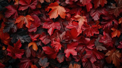 Red and Orange Autumn Leaves Background - obrazy, fototapety, plakaty