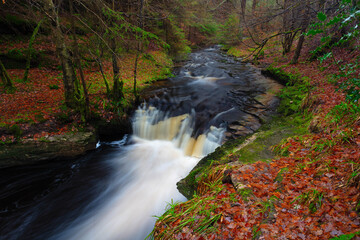 Fast flowing stream and waterfall, Hamsterley Forest, County Durham, England, UK.