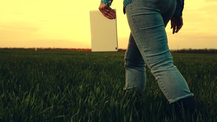 Businessman farmer with tablet computer on green field. Farmer in rubber boots in corn field works with computer. Business concept of agriculture. Business Farm Modern digital technologies. Agronomist