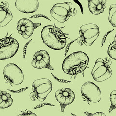 Vector food seamless pattern. Art line , fresh vegetables background for menu, restaurant cafe design. Vegan eating habits, healthy food :tomato, sweet pepper, garlic and peace on green