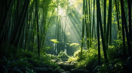 Fotobehang Lush bamboo forest, where sunlight filters through the dense canopy © crazyass