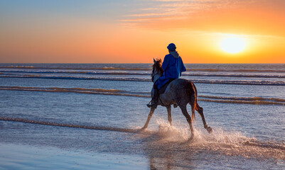 Brown arabian horse running with a rider in the Atlantic ocean at amazing sunset -  Kitesurfers on the Essaouira beach - Essaouira, Morocco