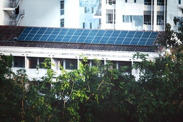 Solar panels installed on a residential building surrounded by lush greenery, integrating nature...