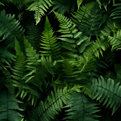 Fototapeta na wymiar Green fern leaves background. Tropical jungle forest texture. Top view.