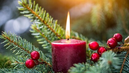 Fototapeta na wymiar close up of a candle in a spruce tree with berries