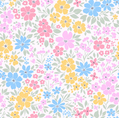 Retro floral pattern in small decorative flowers. Small blue, yellow pink flowers. White background. Ditsy print. Floral seamless background ditsy pattern in small cute wild flowers.