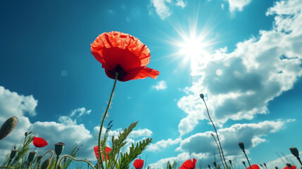 Close up of red poppy flower against blue sky background. Spring landscape concept. Generative AI - obrazy, fototapety, plakaty