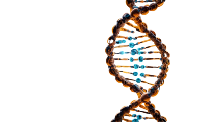 DNA double helix intertwined with digital AI elements symbolizing the future of personalized medicine, AI-powered genetic research unlocking new possibilities for personalized .