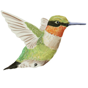 recommend clip art: watercolor hummingbird flying painting clip art, exotic animal bird illustration transparent png