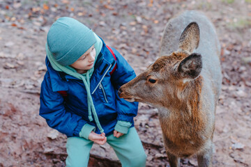 Cute child feeding a fawn. Cute little boy is feeding a baby fawn in the forest. Image with...