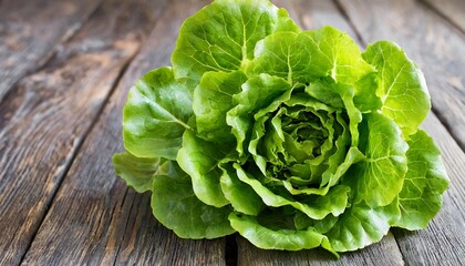 isolated of green lettuce leaves