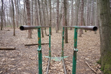 Photo of parallel bars in the woods
