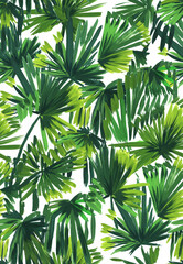 Tropical seamless pattern with palm leaves painted with a brush. Sketch with tropical leaves. Tropical wallpaper - 736041217