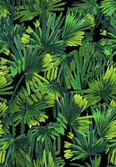 Tropical seamless pattern with palm leaves painted with a brush. Sketch with tropical leaves. Tropical wallpaper - 736041288