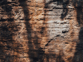Brown cave wall stone texture for nature background.
