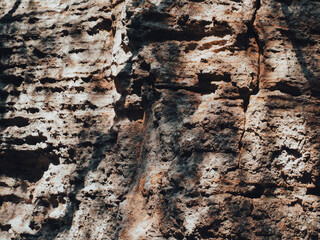 Brown cave wall stone texture for nature background.
