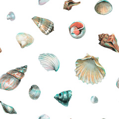 Seashell Pattern on isolated background. Hand drawn watercolor seamless ornament with Sea Shells for wrapping paper or textile in nautical style. Underwater illustration with cockleshell and scallop.