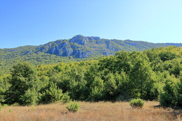 Fototapeta na wymiar National park galicica in North Macedonia near Elshani