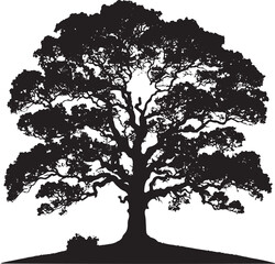 Oak tree icon isolated on white background
