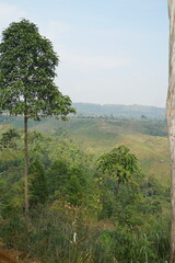 Beautiful nature trails amidst cool weather and animal sounds.