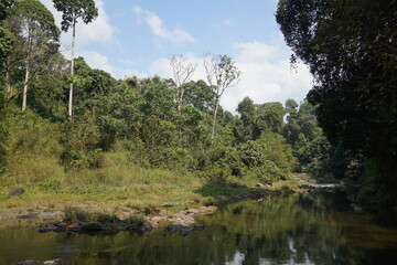 Natural waterway that flows to the waterfall