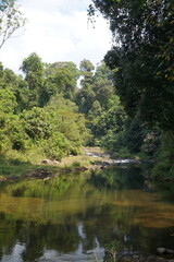 Fototapeta na wymiar Natural waterway that flows to the waterfall