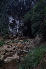 A large cave in the forest surrounded by large rocks and water flowing from the mouth of the cave.