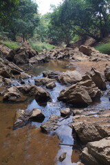 Fototapeta premium The rocks in the mineral water flow naturally