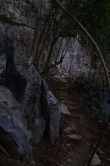 The hiking trail is full of large rocks and trees and wooden steps.