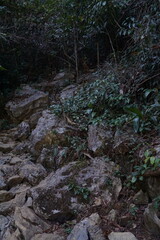 Obraz premium The hiking trail is full of large rocks and trees and wooden steps.