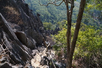 Rocks beautiful landscape, cloudy morning, tree young leaves, rock climbing
