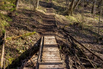 Footbridge over a small ravine, flooring through a ditch in the forest