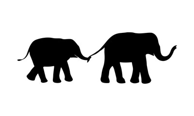 The shadows of two elephants follow each other. on a white background