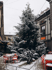 Naklejka premium Christmas tree in Senatoriu Pasazas in Vilnius