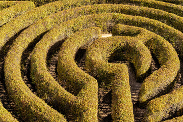 Fototapeta na wymiar Labyrinth in a botanical garden