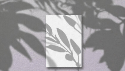 vertical sheets of textured white paper against a soft gray table background. the natural light creates subtle shadows from an exotic plant, enhancing the mockup overlay in a horizontal