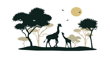 giraffes and african savannah vector silhouette