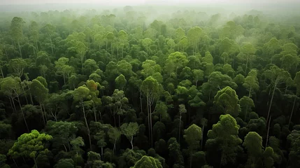 Zelfklevend Fotobehang The importance of reforestation in combating global warming and climate change, concept shot © Goodwave Studio