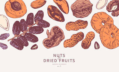 Assorted nuts and dried fruits hand drawn illustrations. Horizontal border, background design template