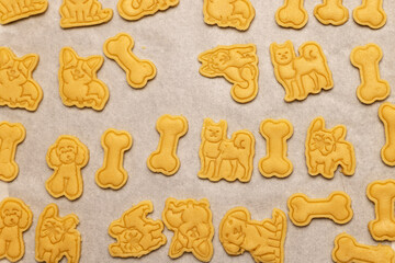 cookies on a baking sheet. bones and dogs of different breeds